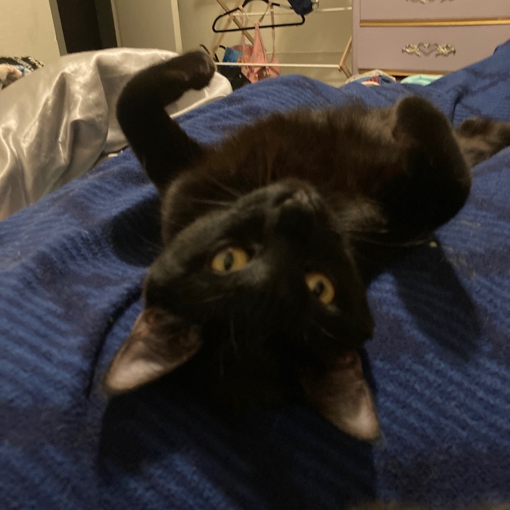 Meet your Posher, Mathew